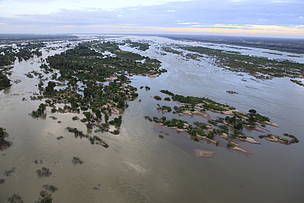  
	© Adam Oswell / WWF-Canon