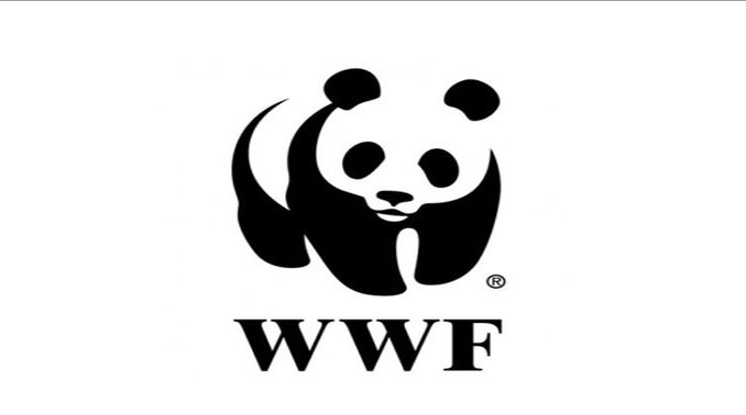 WWF Works Closely with World Scouting Organizations